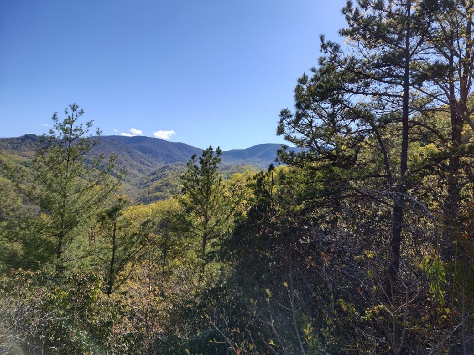 Image for Otto, NC: 10.5± Mountaintop Acres in Heritage Mountain Estates, Otto, NC 28763 (Macon County)