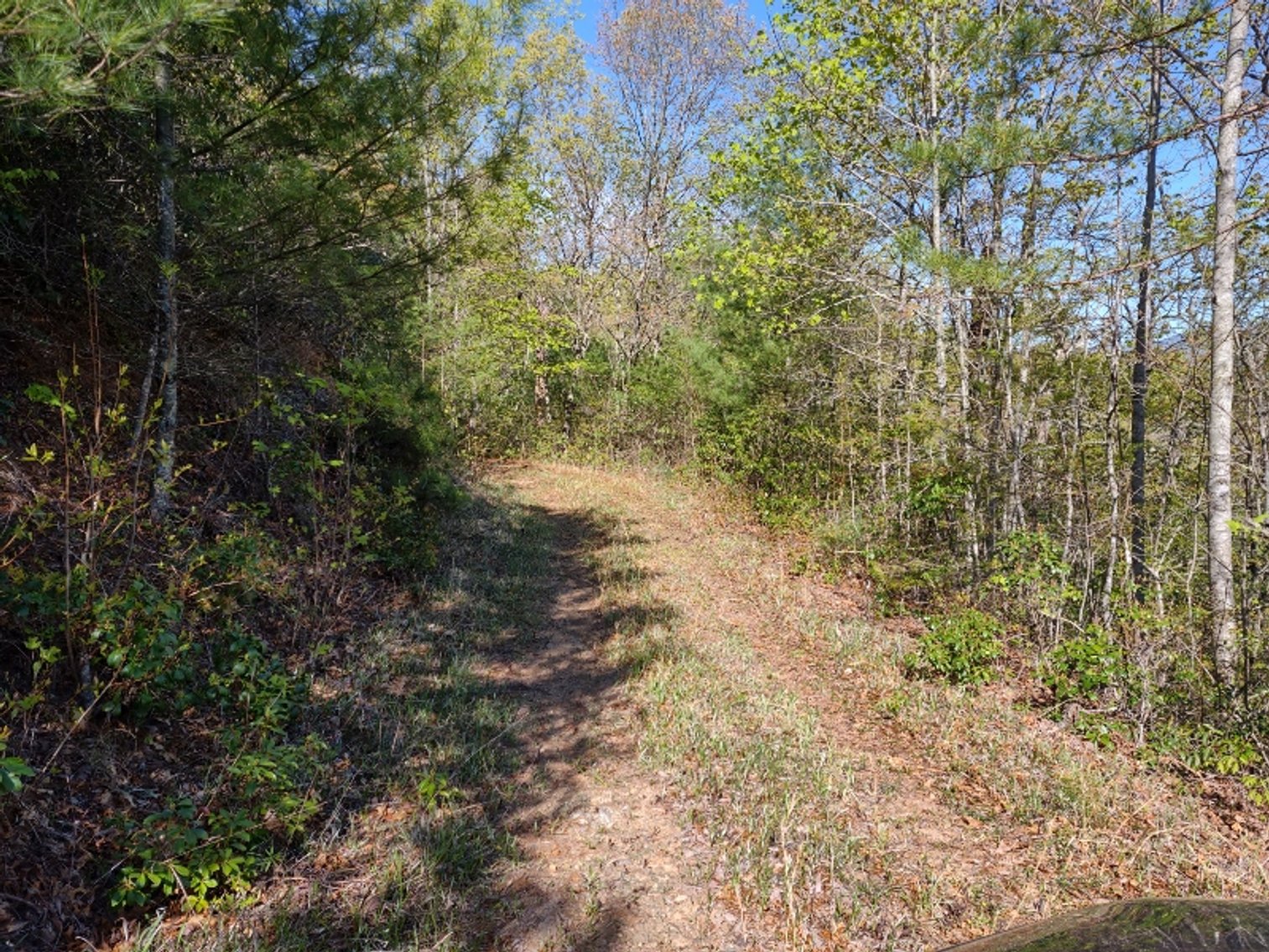 Image for Otto, NC: 10.5± Mountaintop Acres in Heritage Mountain Estates, Otto, NC 28763 (Macon County)