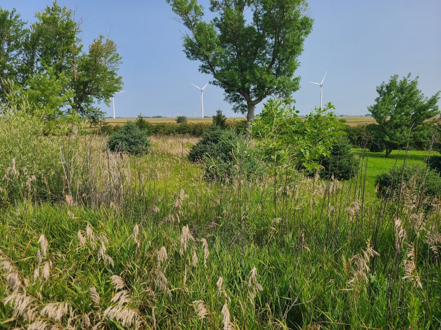 Image for 63391 160th Avenue, Fonda!