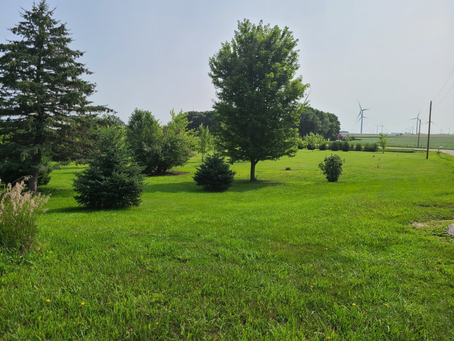 Image for 63391 160th Avenue, Fonda!