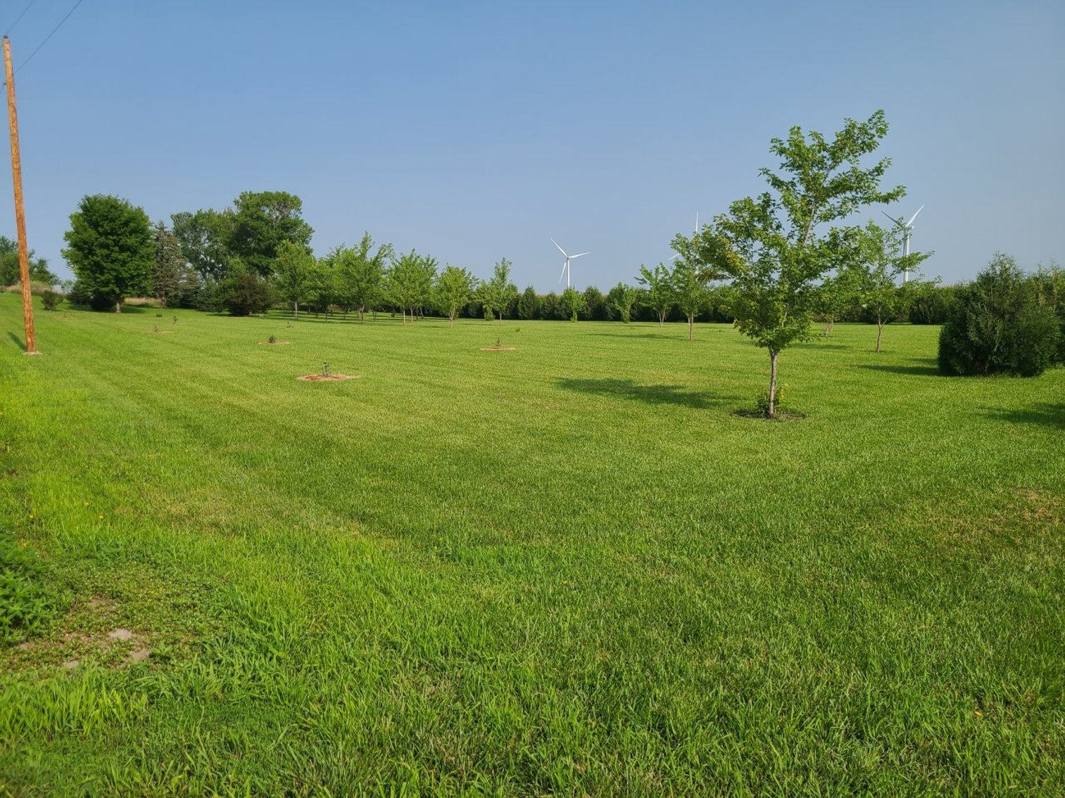 Image for 63391 160th Avenue, Fonda!