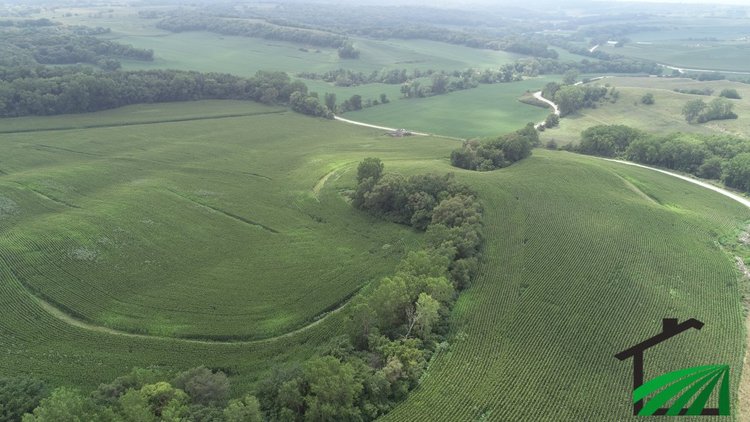 Image for Harrison County Land auction