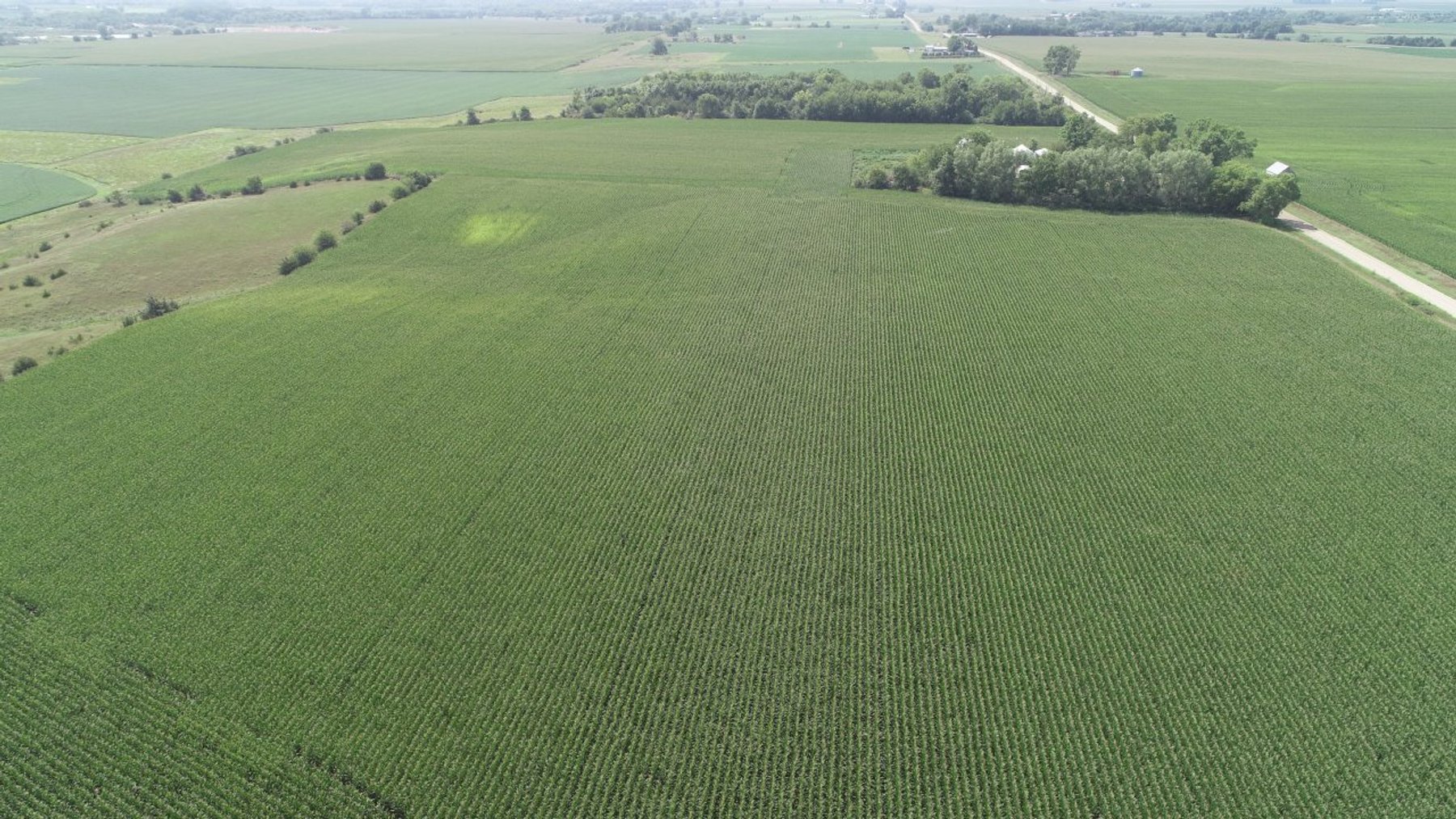 Image for 10142 Ranch Ave., Lake City!