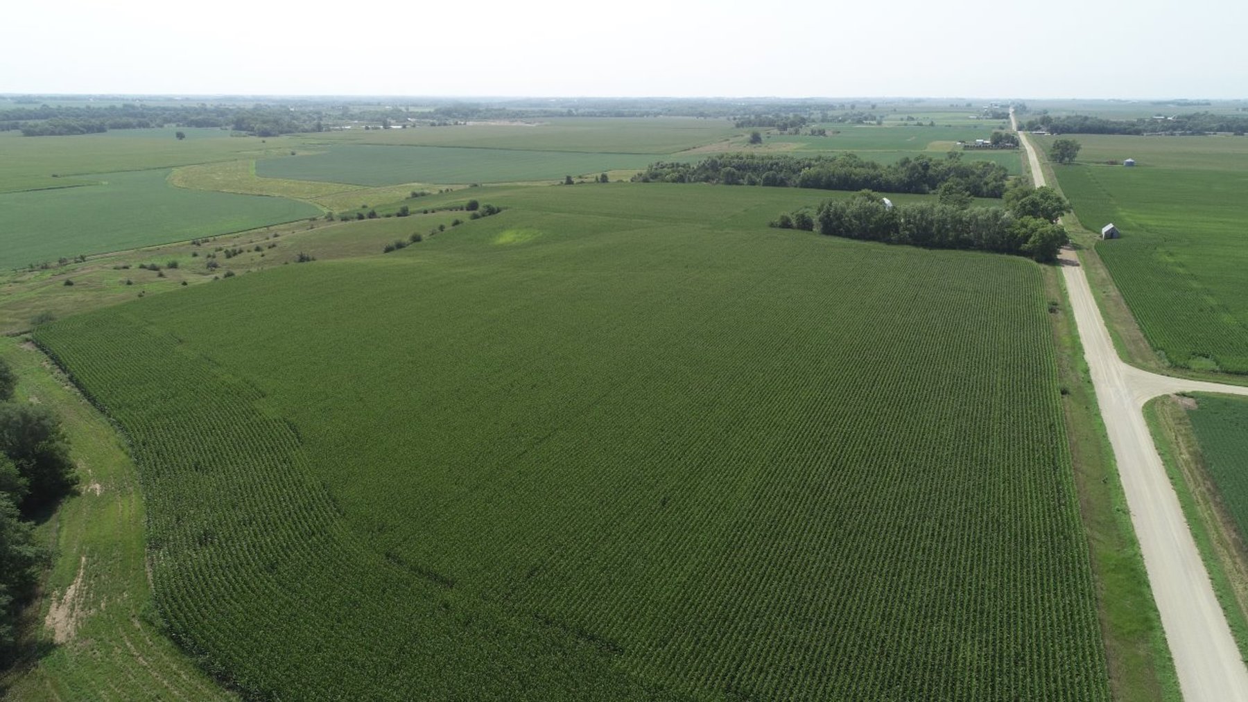 Image for 10142 Ranch Ave., Lake City!