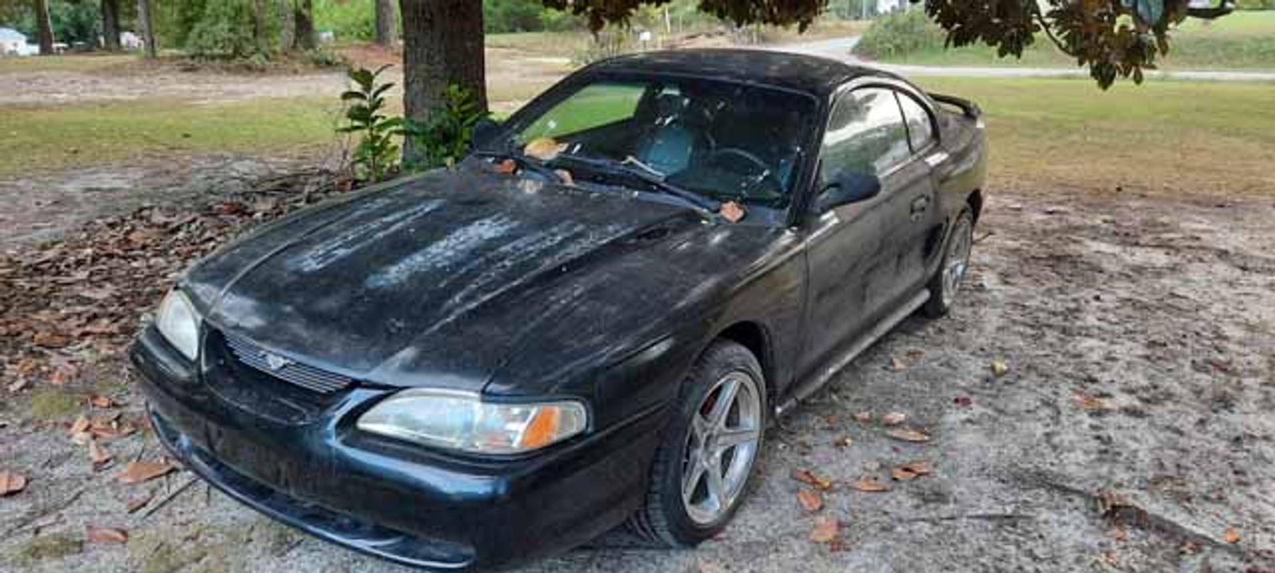 Image for Michael Acree Estate (Dec). & Others