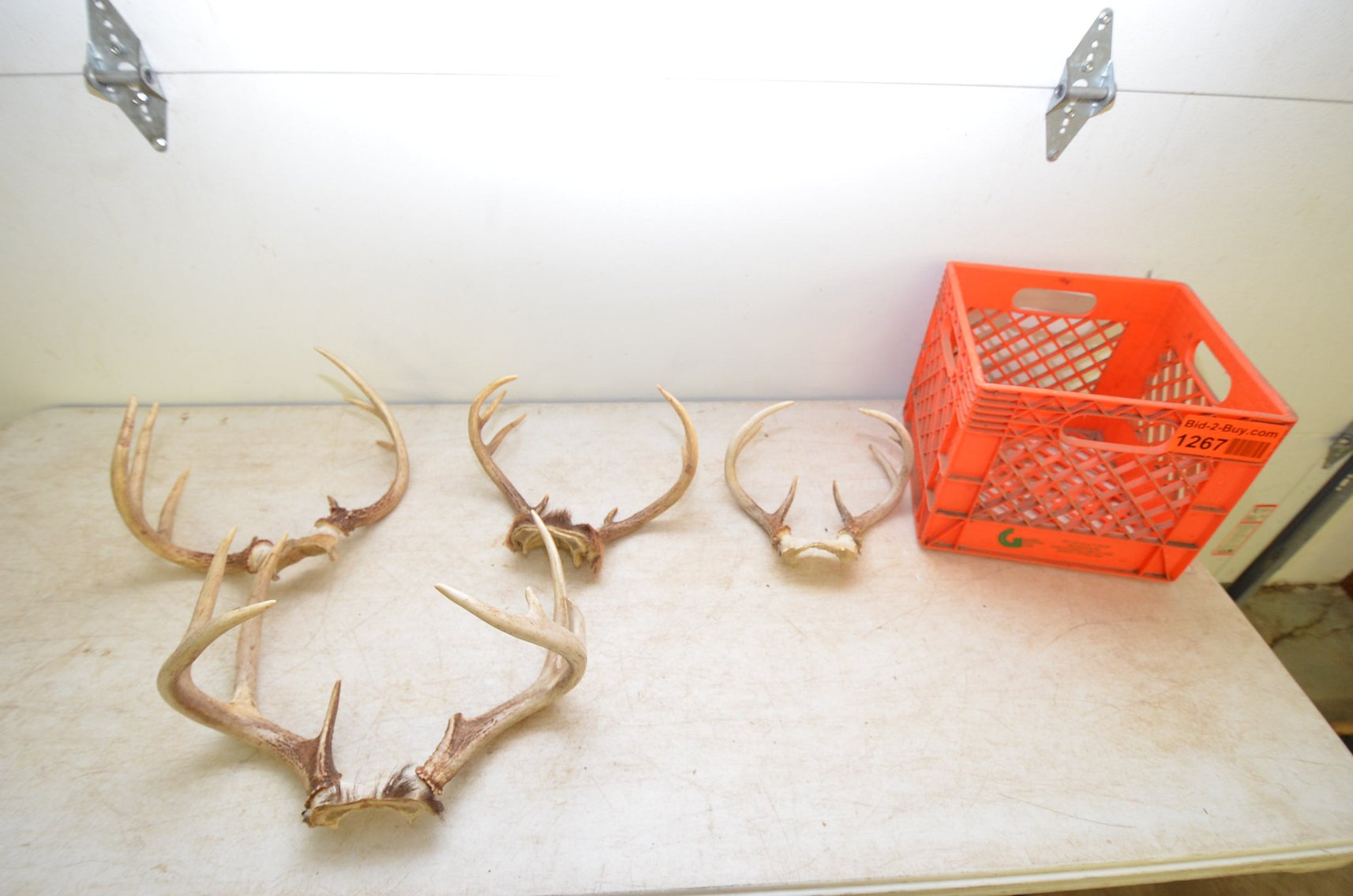 Image for FORDSON TRACTORS, COMMERICIAL LIGHTING, AUTO PARTS, FISHING TACKLE AND FURNITURE