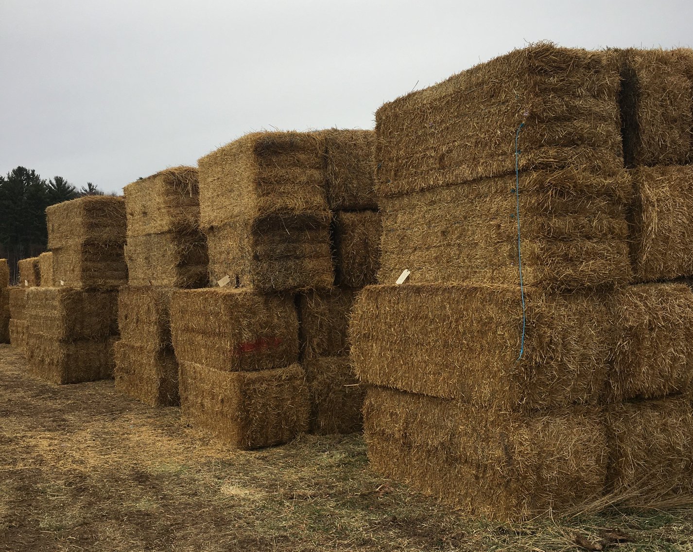 Image for FEBRUARY HAY AND FIREWOOD AUCTION