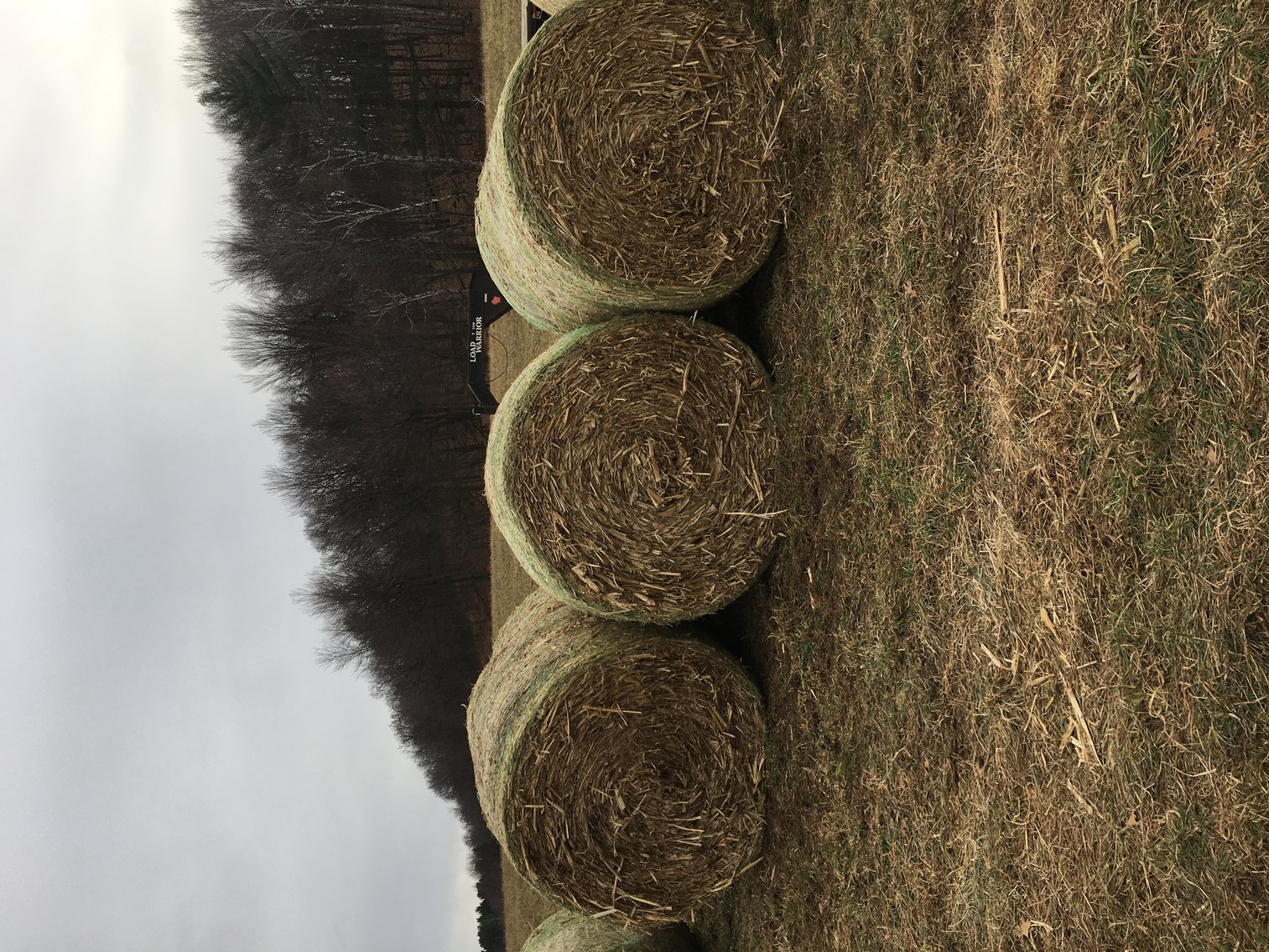 Image for LATE FEBRUARY HAY AND FIREWOOD AUCTION