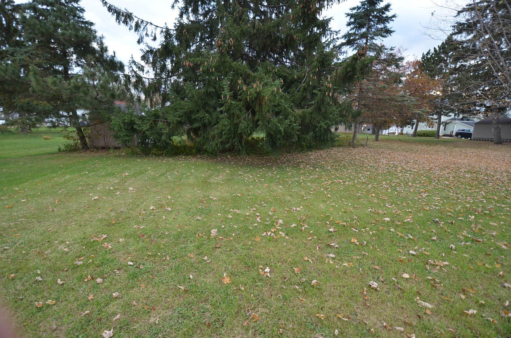 Image for REAL ESTATE AUCTION - 623 W MAIN ST, MONDOVI