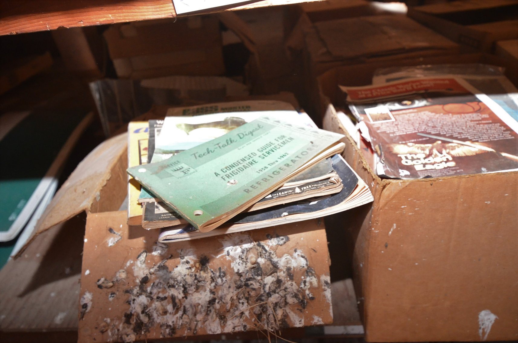 Image for CAR PARTS, COLLECTABLES, AND LUMBER