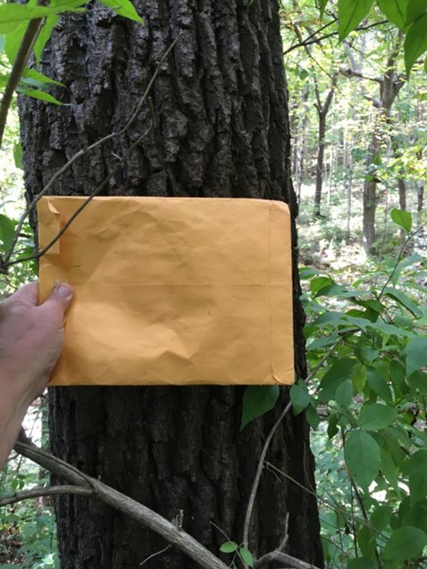 Image for Peoria County, IL: 8.5 Acre Multifamily Tract and 1± Acre Tract Selling Together