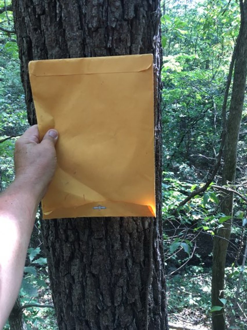 Image for Peoria County, IL: 8.5 Acre Multifamily Tract and 1± Acre Tract Selling Together