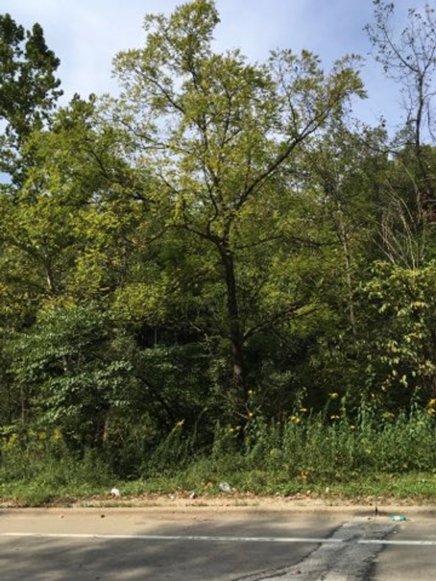 Image for Peoria County, IL: 8.5 Acre Multifamily Tract and 1± Acre Tract Selling Together