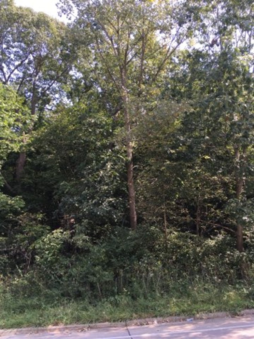 Image for Peoria County, IL: 8.5 Acre Multifamily Tract and 1± Acre Tract Selling Together