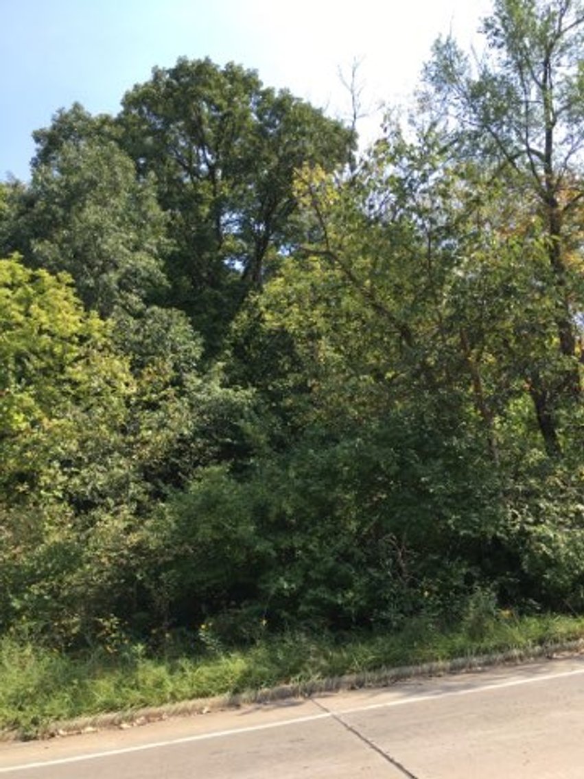 Image for Peoria County, IL: 8.5 Acre Multifamily Tract and 1± Acre Tract Selling Together