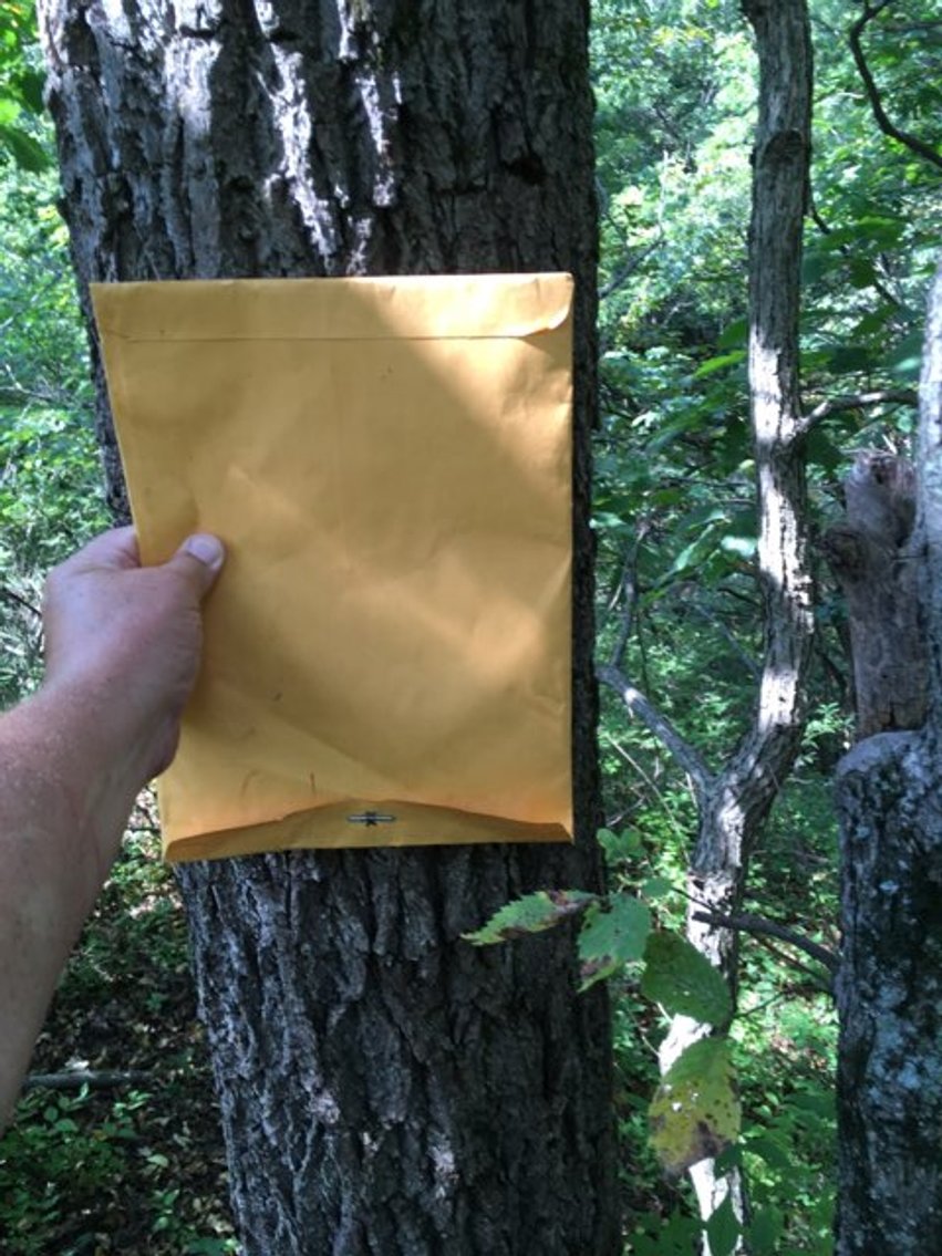 Image for Peoria County, IL: 8.5 Acre Multifamily Tract and 1± Acre Tract Selling Together