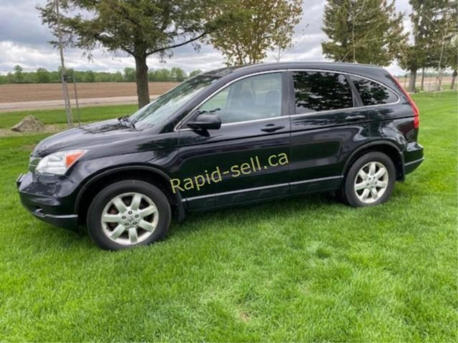 Image for Estate of Martha Rogers – Elora