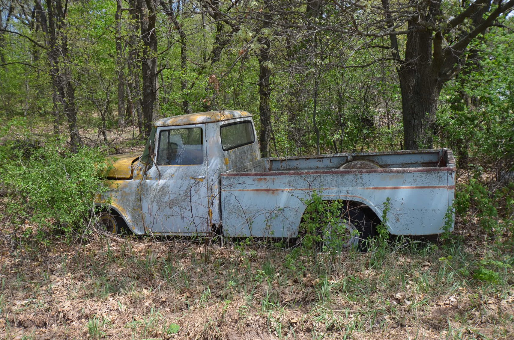 Image for COLLECTIBLES, LAWN&GARDEN, HOUSEHOLD, AND MORE