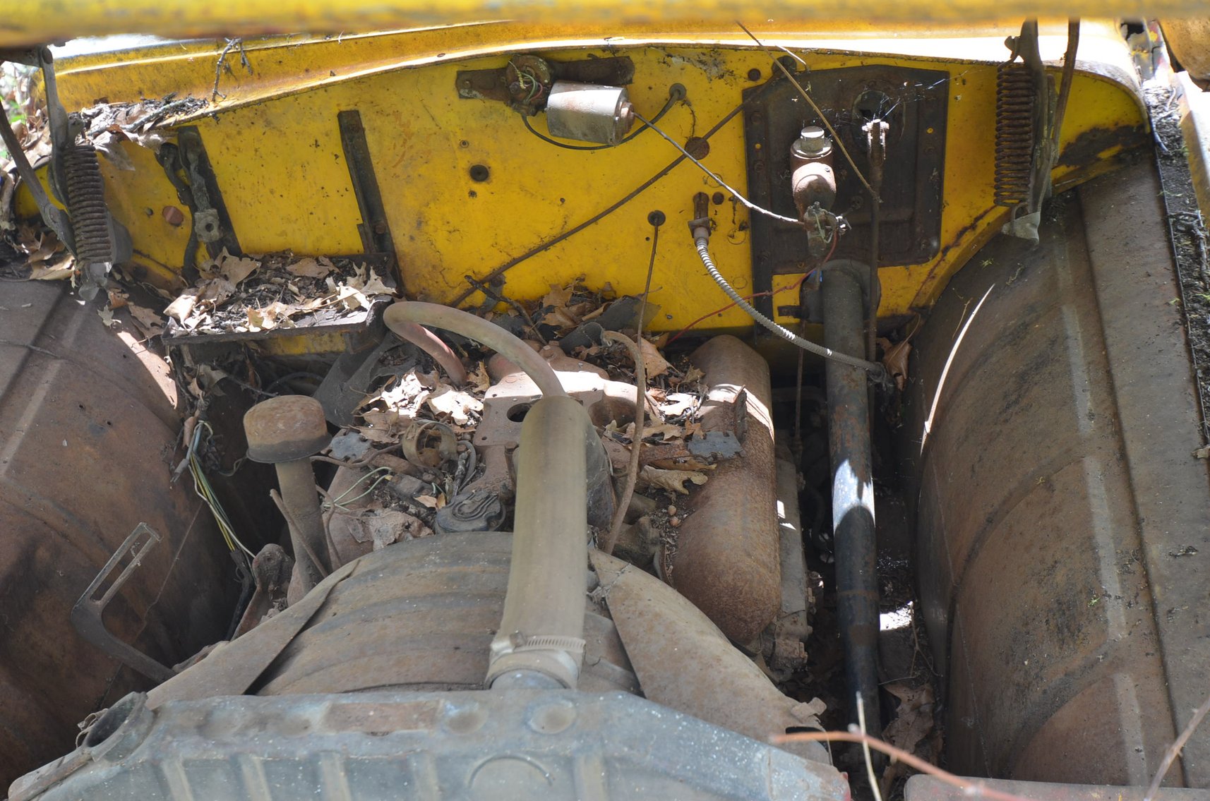 Image for COLLECTIBLES, LAWN&GARDEN, HOUSEHOLD, AND MORE