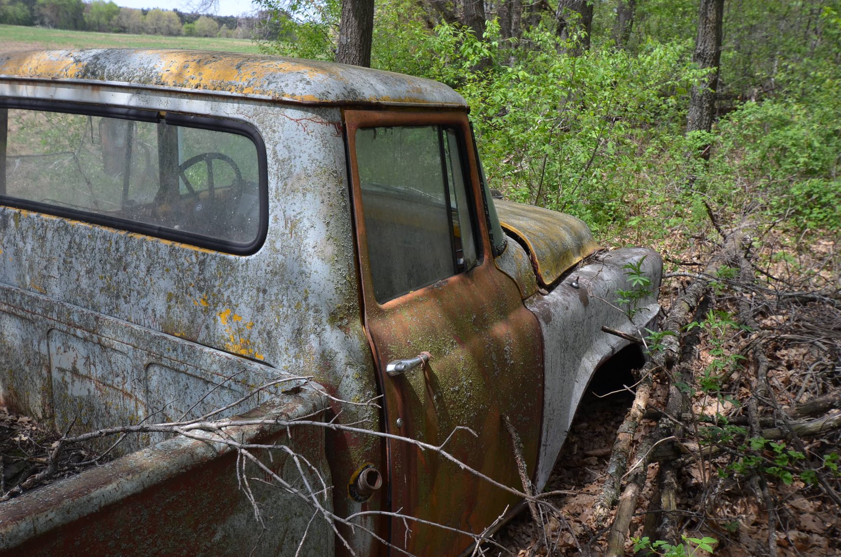 Image for COLLECTIBLES, LAWN&GARDEN, HOUSEHOLD, AND MORE