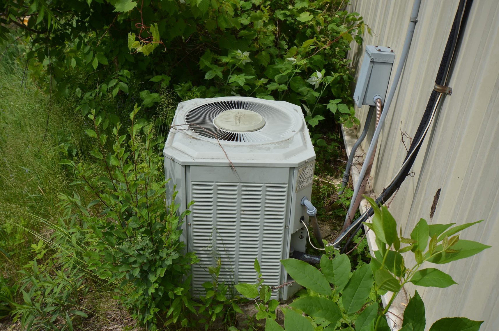 Image for REAL ESTATE AUCTION - 165 W RIVERSIDE AVE - Mondovi, WI