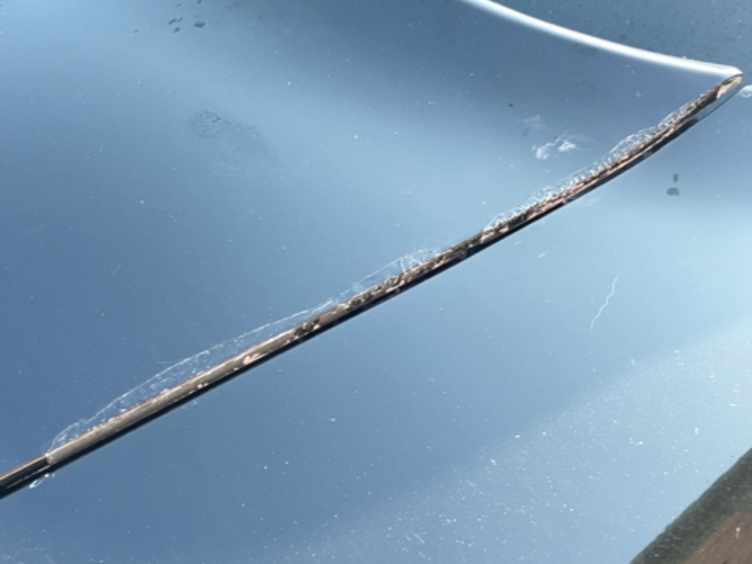 Image for 1979 Chevy Corvette