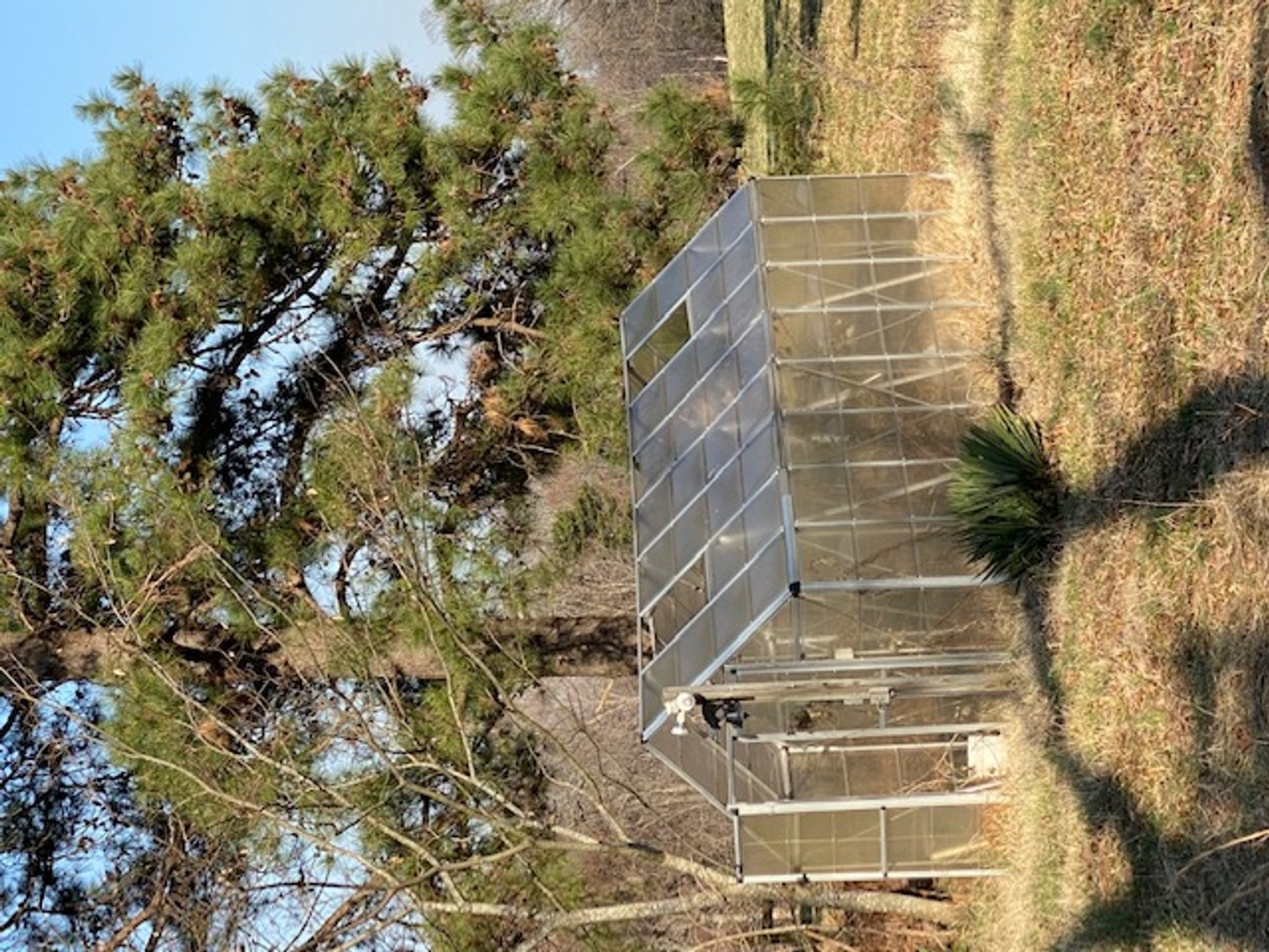 Image for William Carrel Hays Estate (deceased)