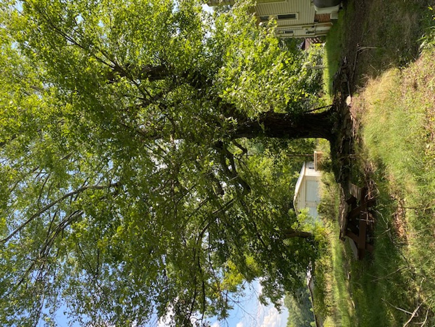 Image for William Carrel Hays Estate (deceased)