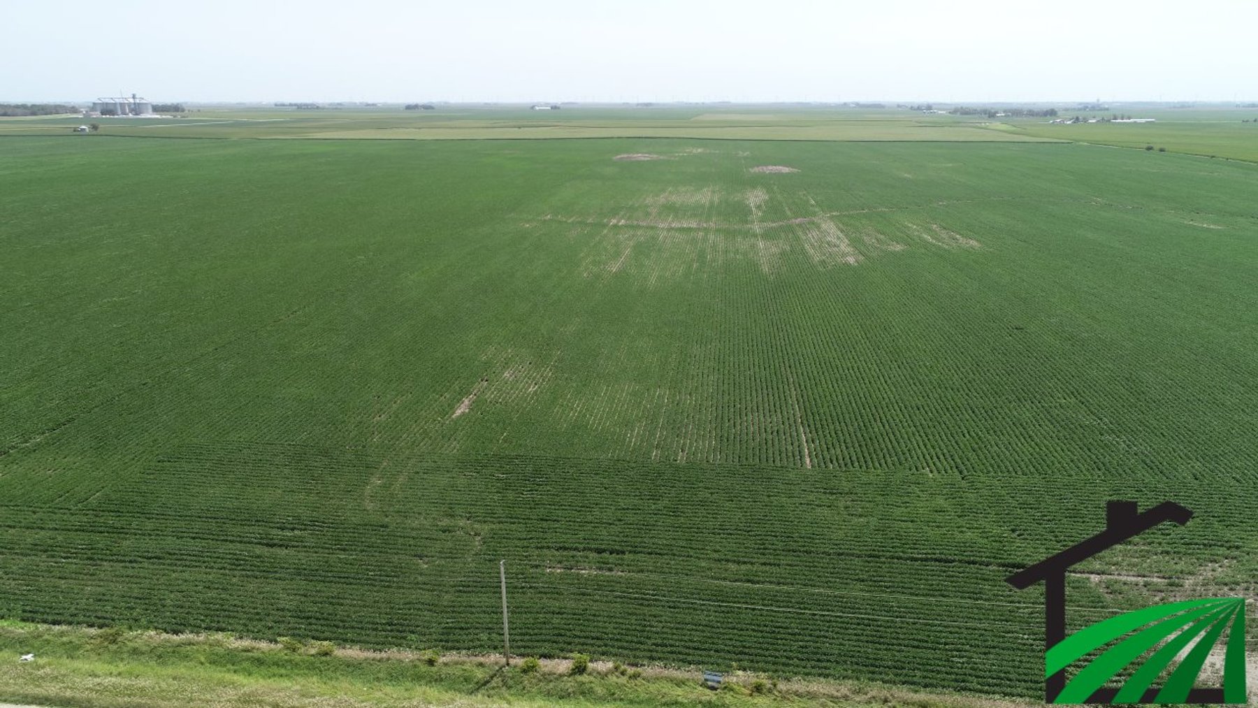 Image for Webster County Farmland Auction!