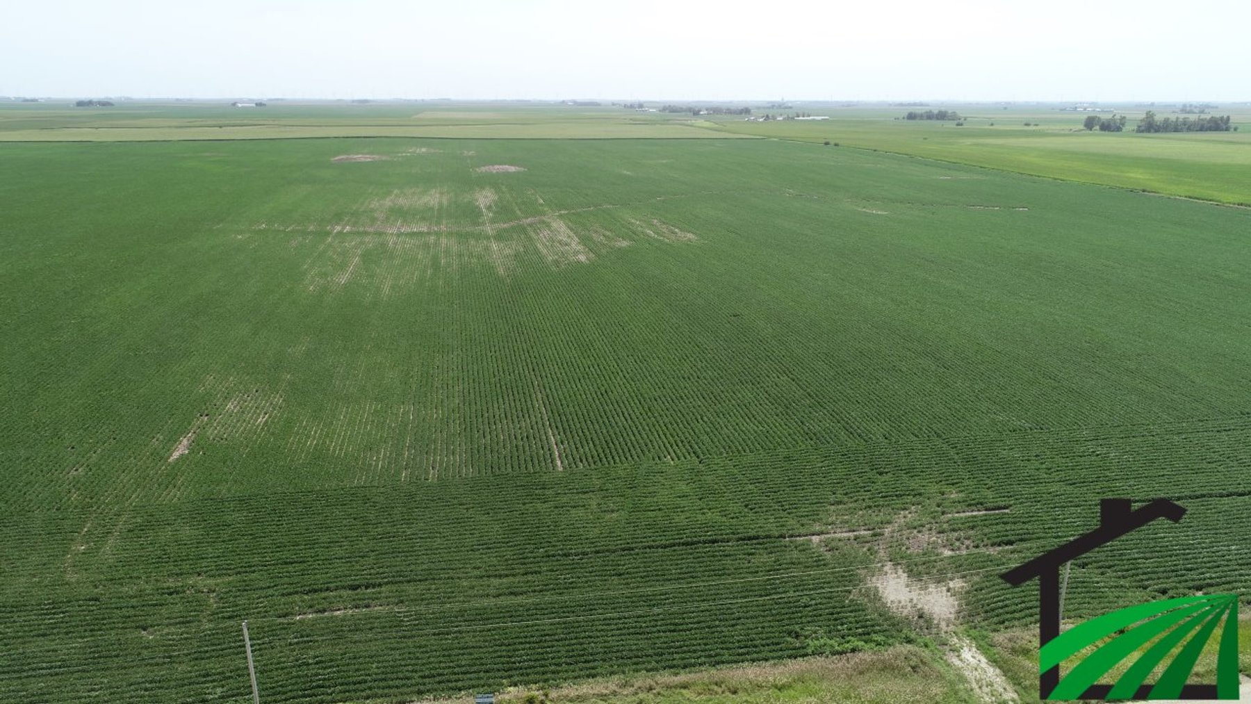 Image for Webster County Farmland Auction!