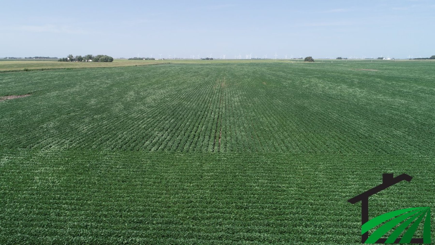 Image for Webster County Farmland Auction!