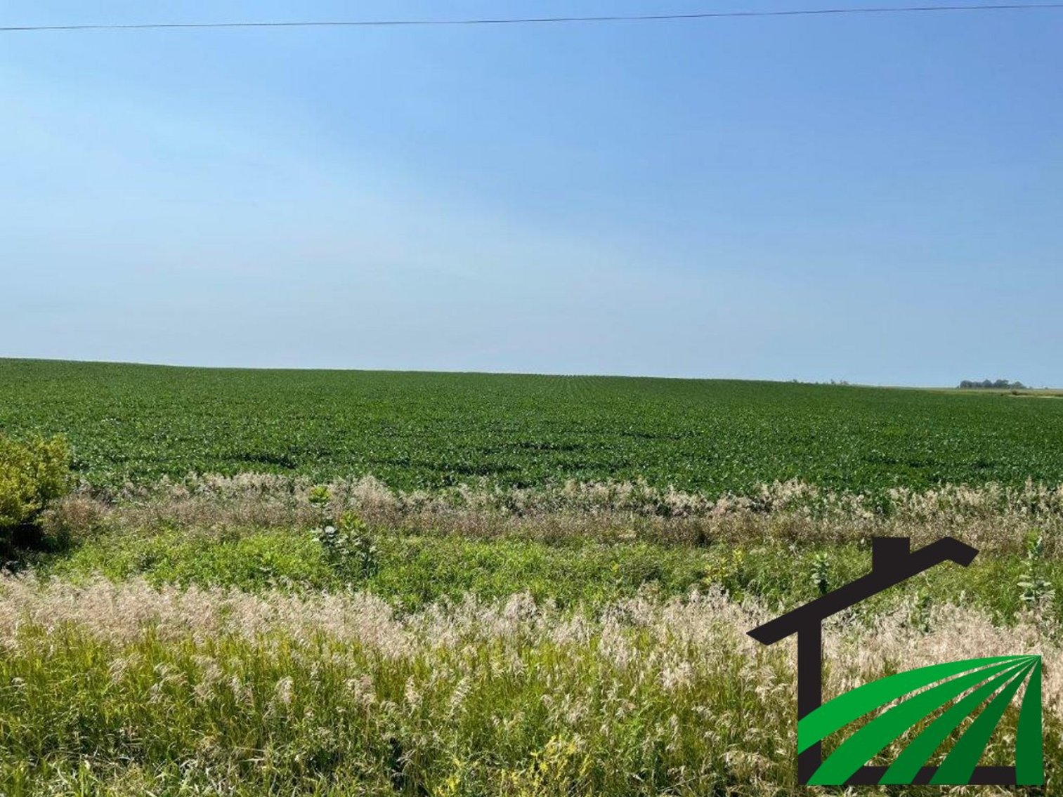 Image for Webster County Farmland Auction!