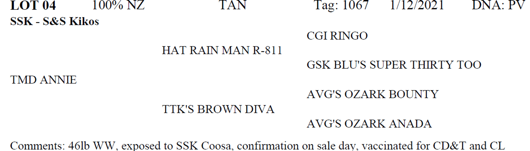 Image for 2022 Oklahoma Hills Kiko Invitational