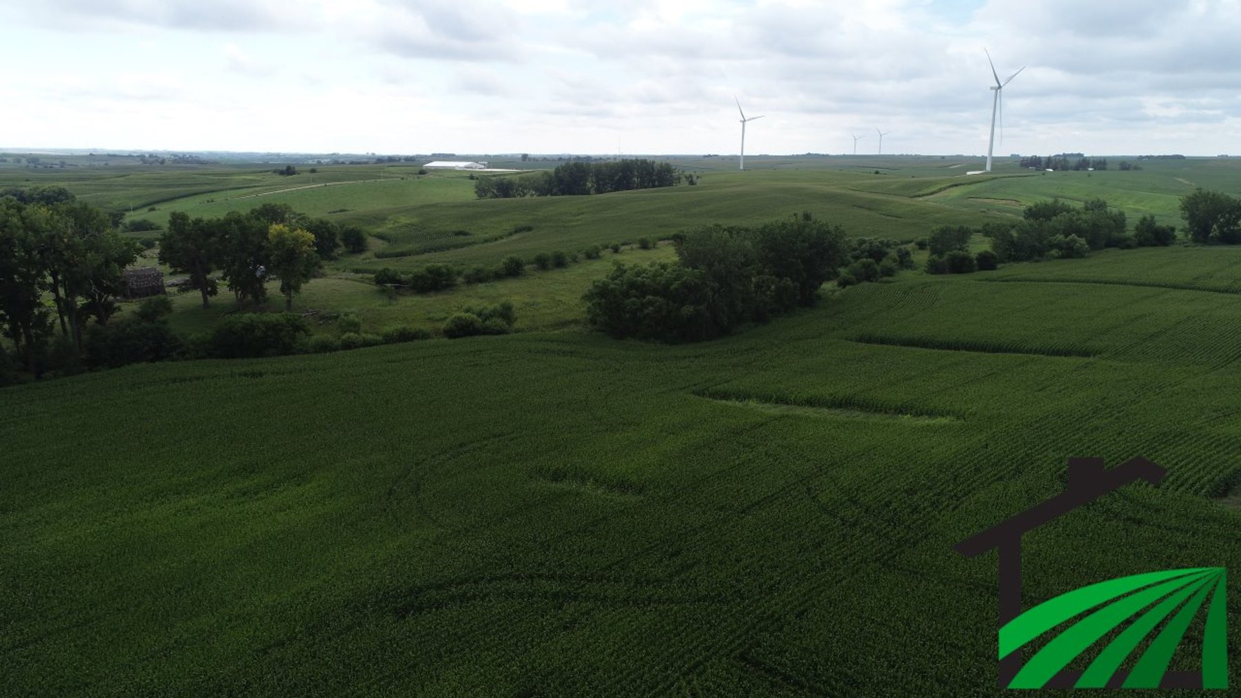 Image for Sac County, IA Land Auction!