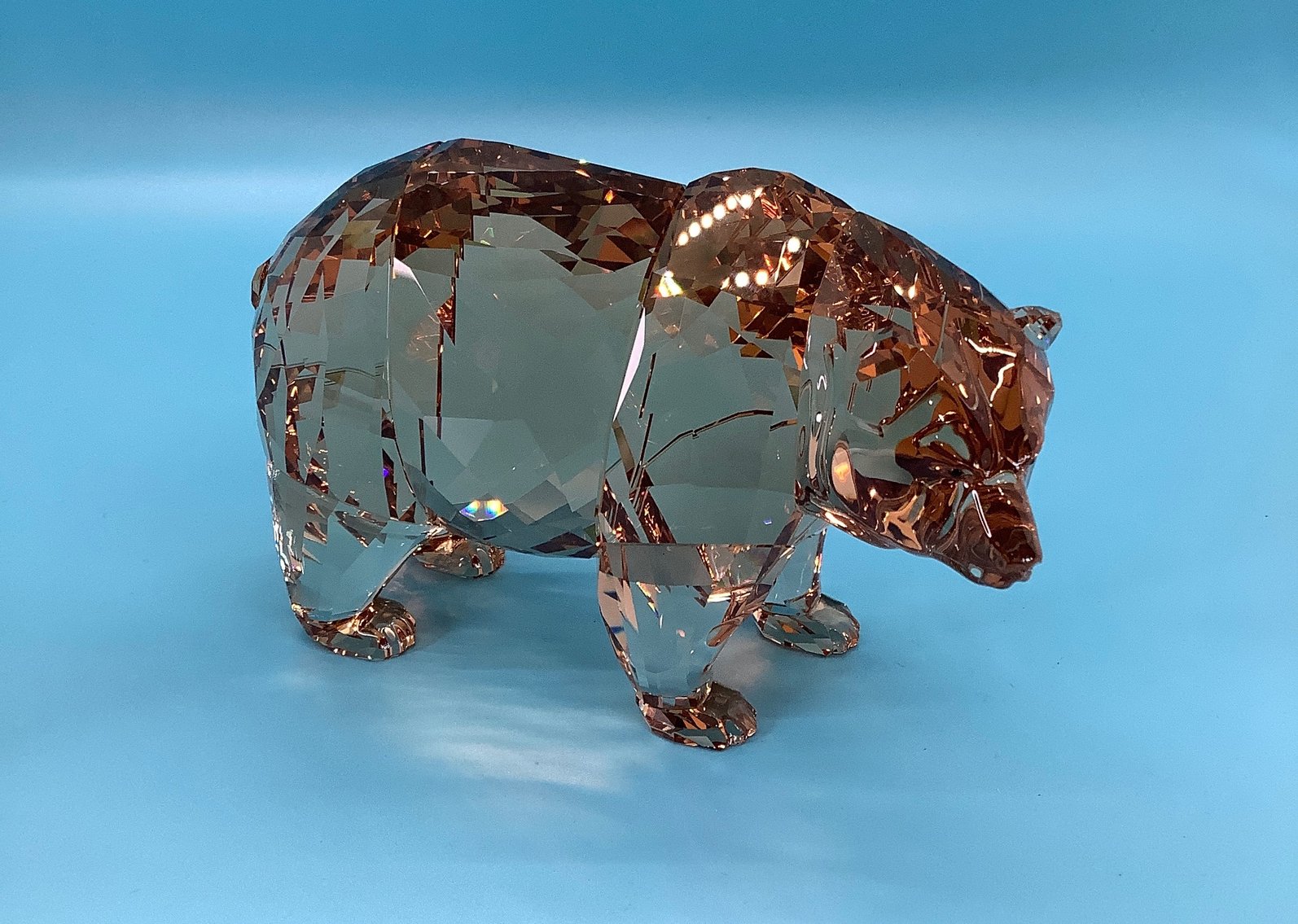 Image for Fantastic Finds-September