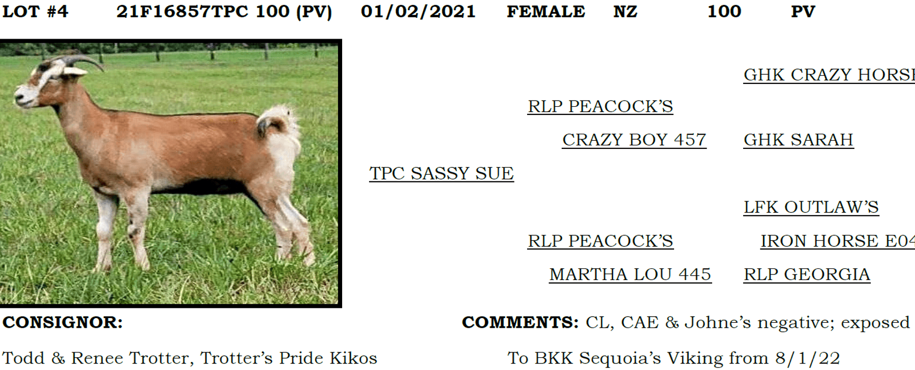 Image for 2022 IKGA KikoFest Sale