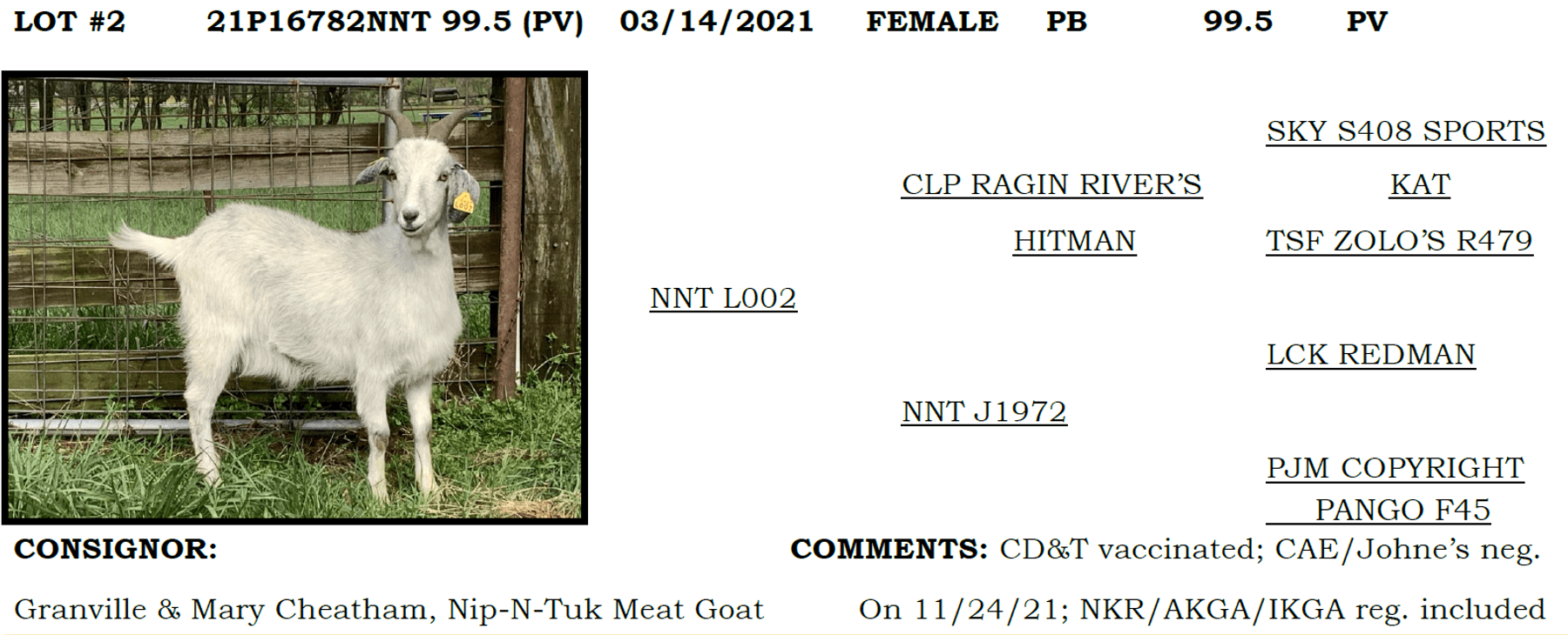 Image for 2022 IKGA KikoFest Sale