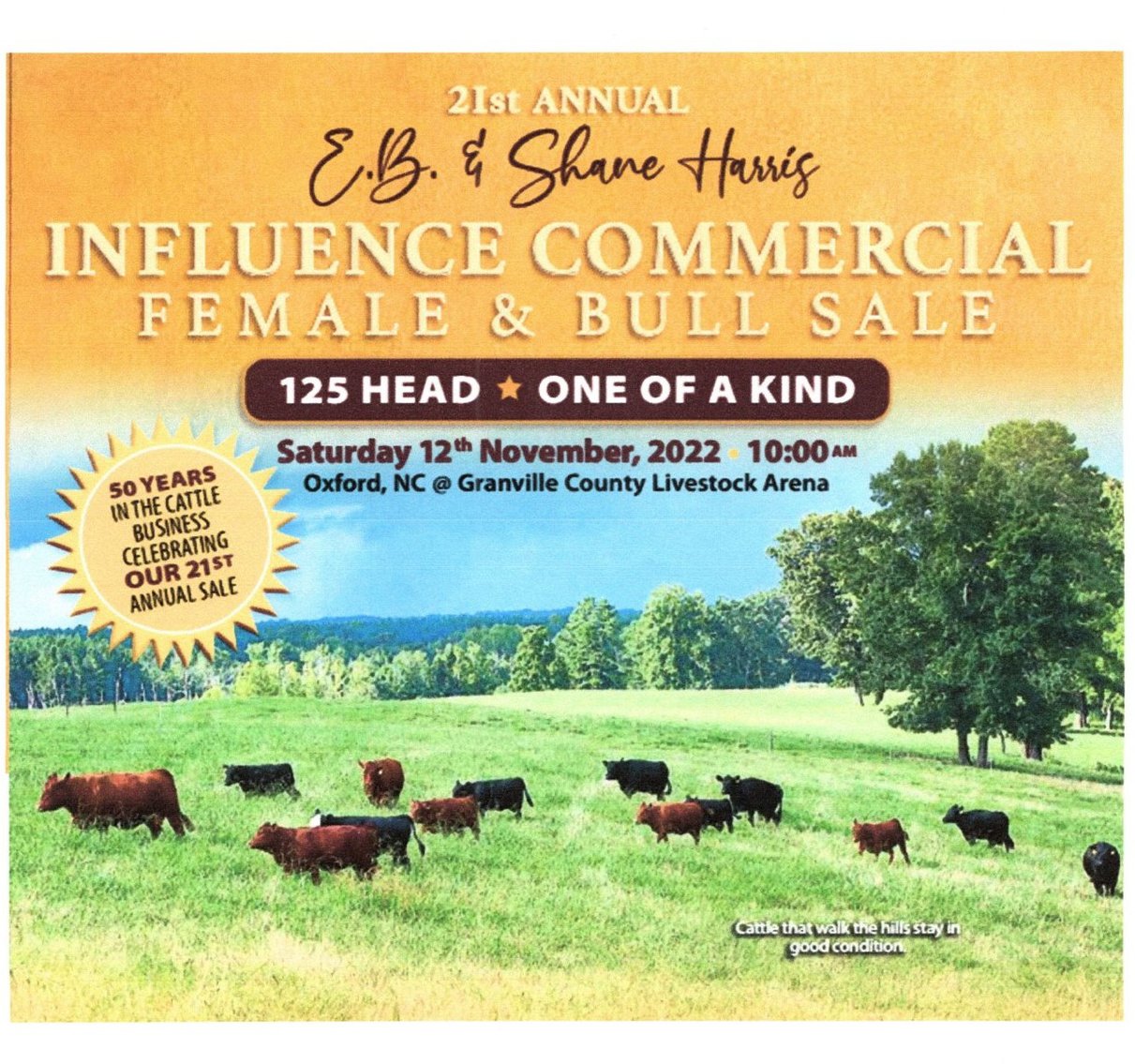 Image for 21st Annual Sale