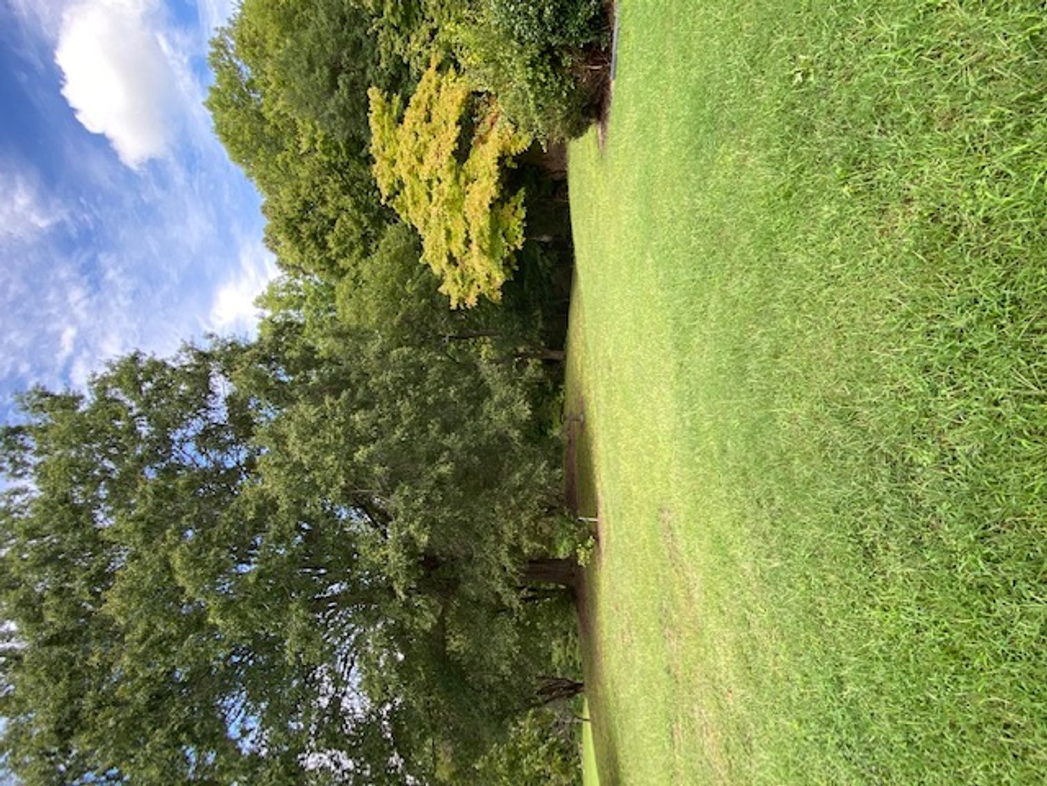 Image for 7900 US 29 Business, Reidsville, NC 27320