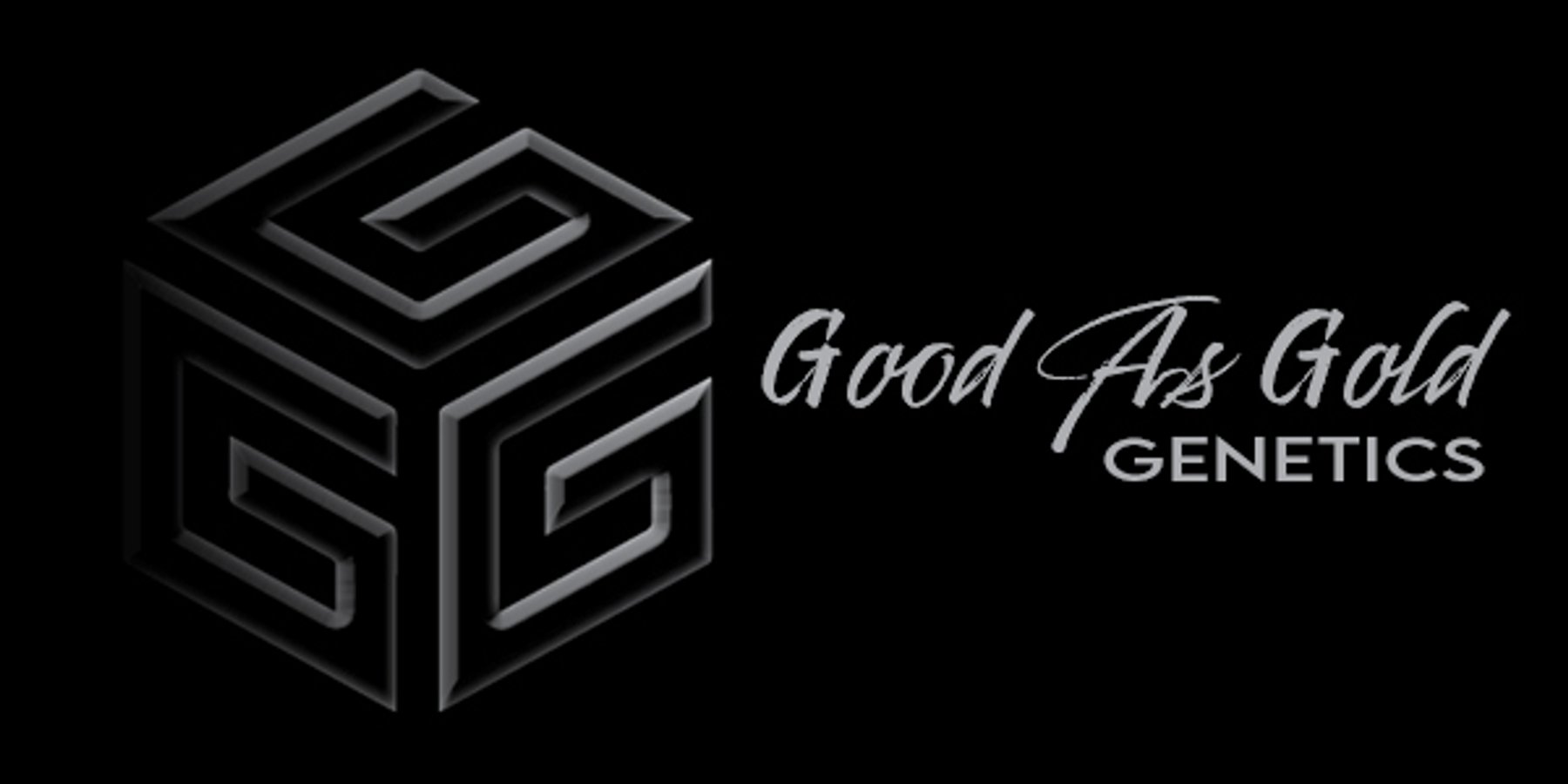 Image for Good As Gold Genetics - Fall Sale #3