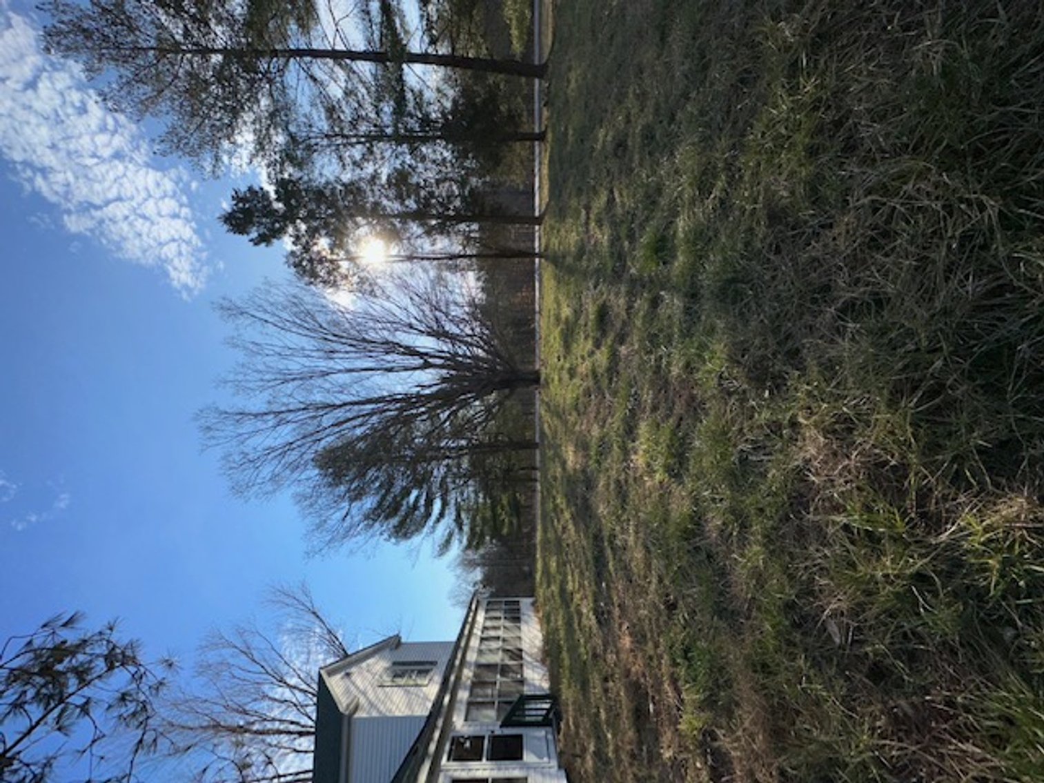 Image for Estate of Evelyn R. Banks (deceased)