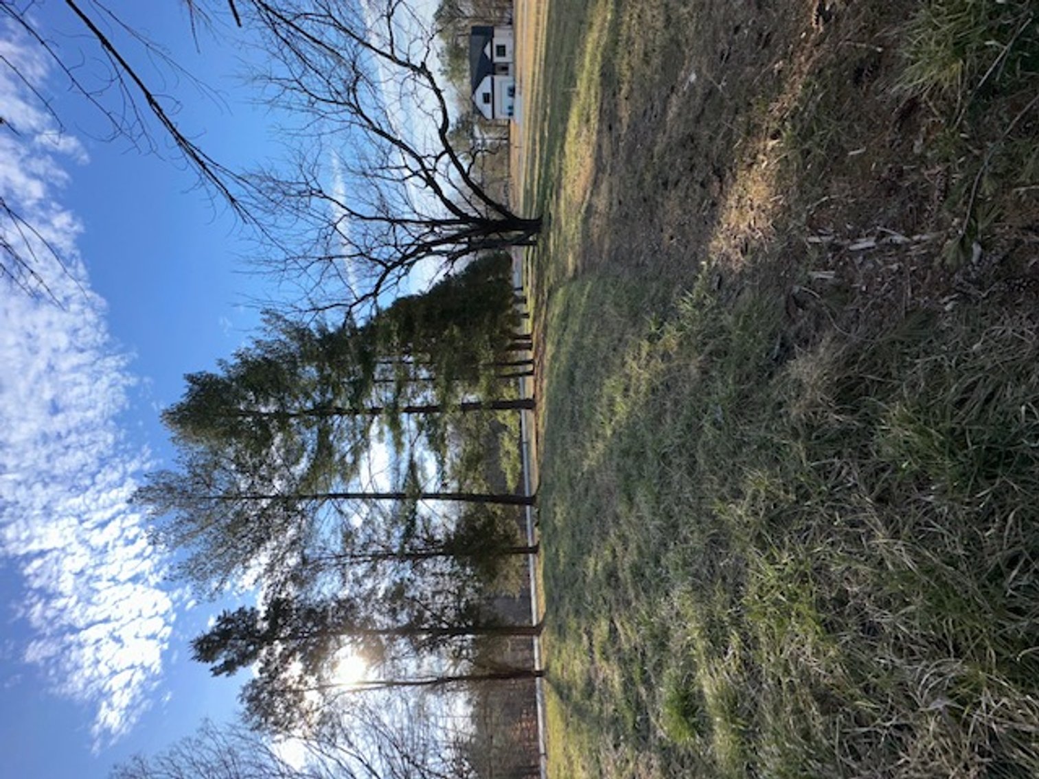 Image for Estate of Evelyn R. Banks (deceased)