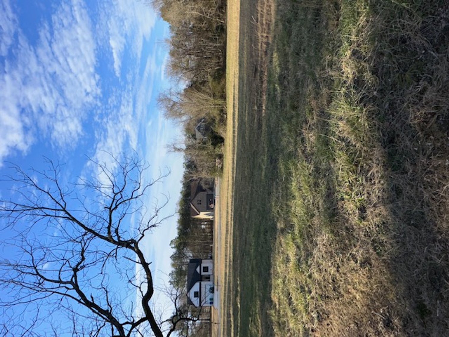 Image for Estate of Evelyn R. Banks (deceased)