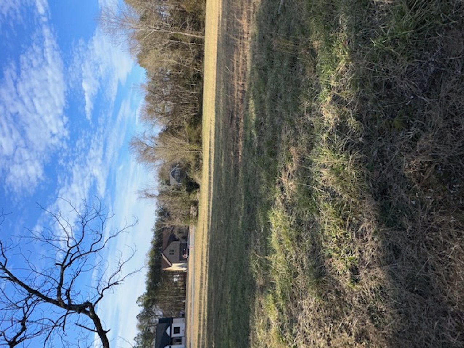 Image for Estate of Evelyn R. Banks (deceased)