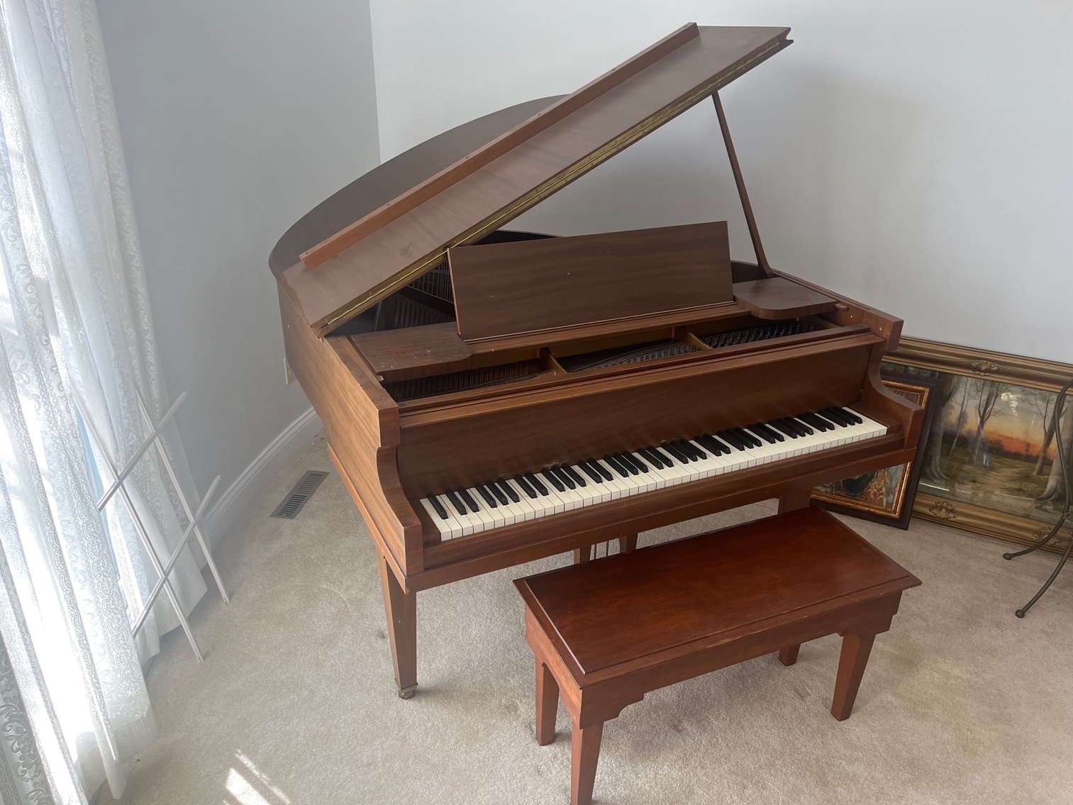 Image for Pedal Car, Roseville, Antiques