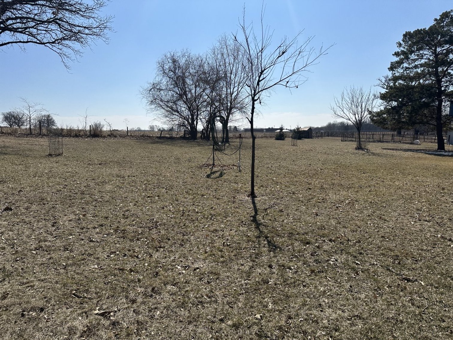 Image for 113 East Ahrens Street, Sac City!