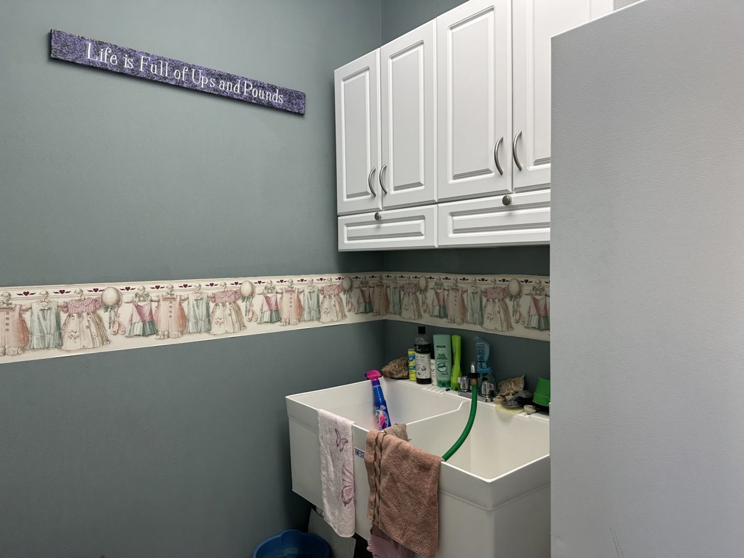 Image for 113 East Ahrens Street, Sac City!