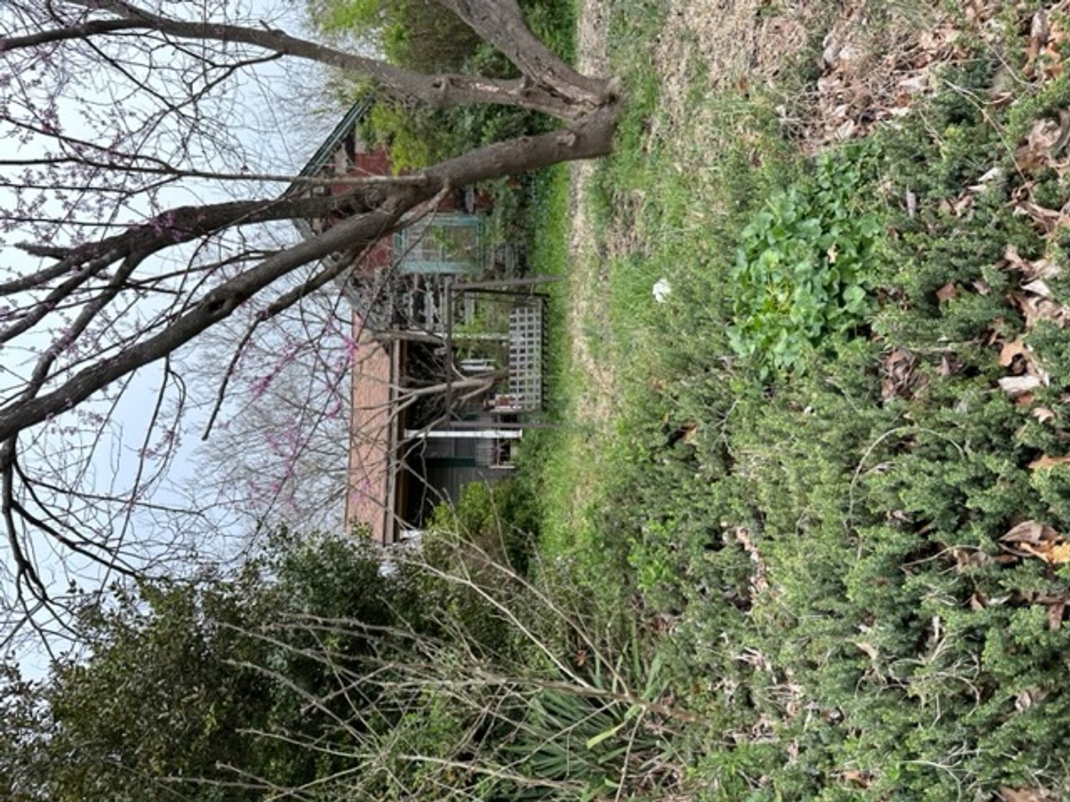 Image for Estate of Shirley Denise Martin (living)