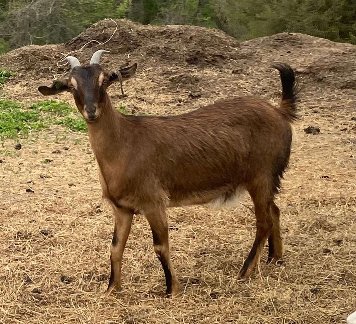 Image for 2023 Bluegrass Performance Invitational