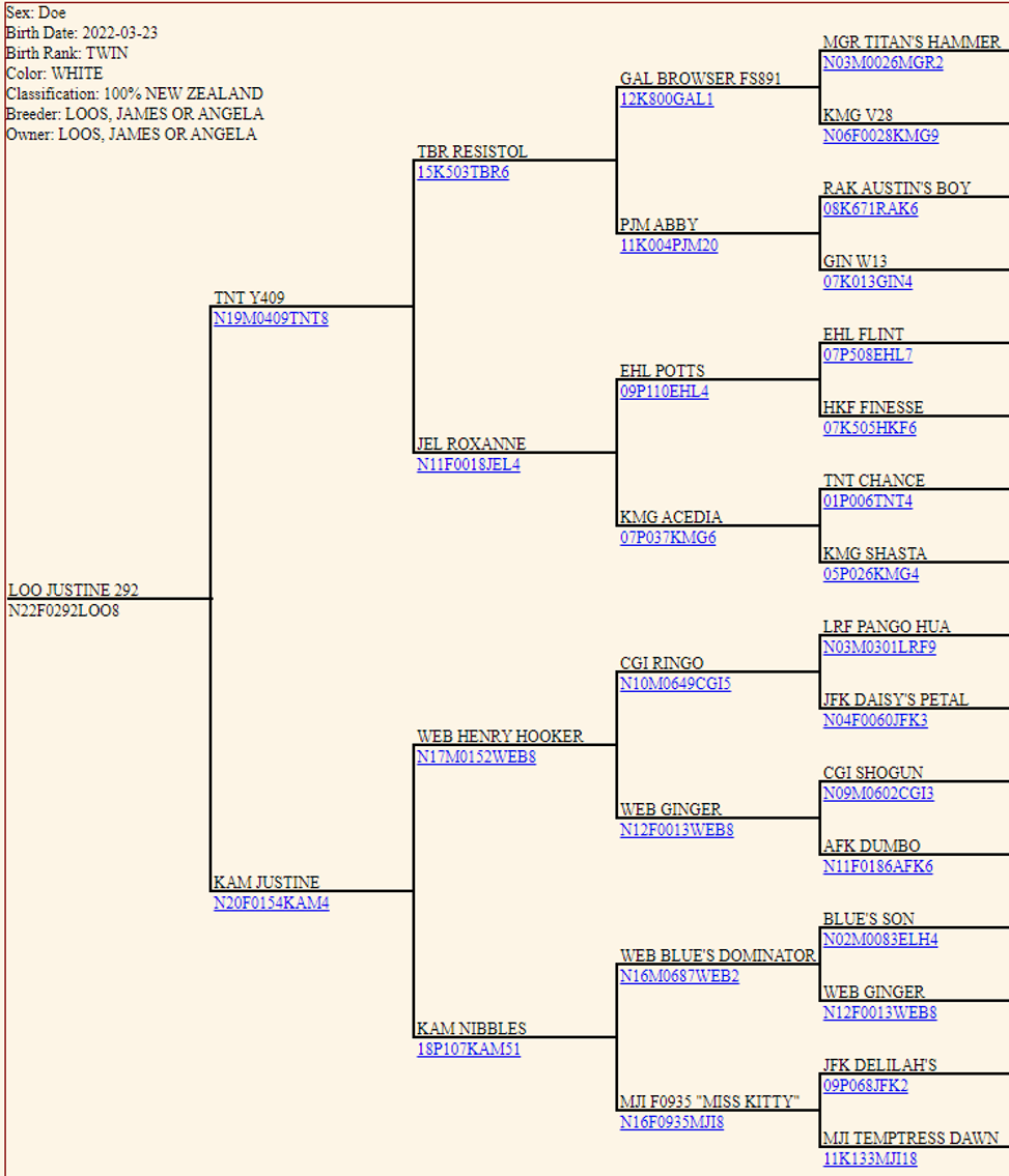 Image for 2023 Bluegrass Performance Invitational